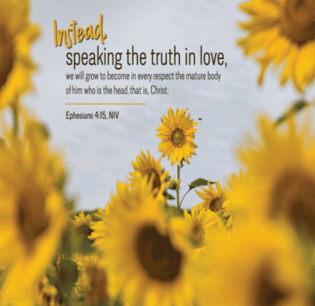 A beautiful field of sunflowers. We see the text of Ephesians 4:15—"Instead, speaking the truth in love, we will grow to become in every respect the mature body of him who is the head, that is, Christ."