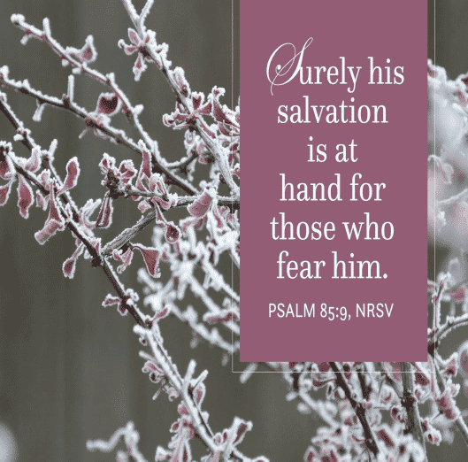 A woody plant covered with frost. In a burgundy-colored rectangle, we see the words of Psalm 85:9 as rendered in the New Revised Standard Version, in white text — "Surely his salvation is at hand for those who fear him, that his glory may dwell in our land."