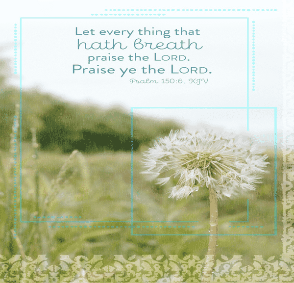 Upcoming Events and Announcements for July 10, 2025